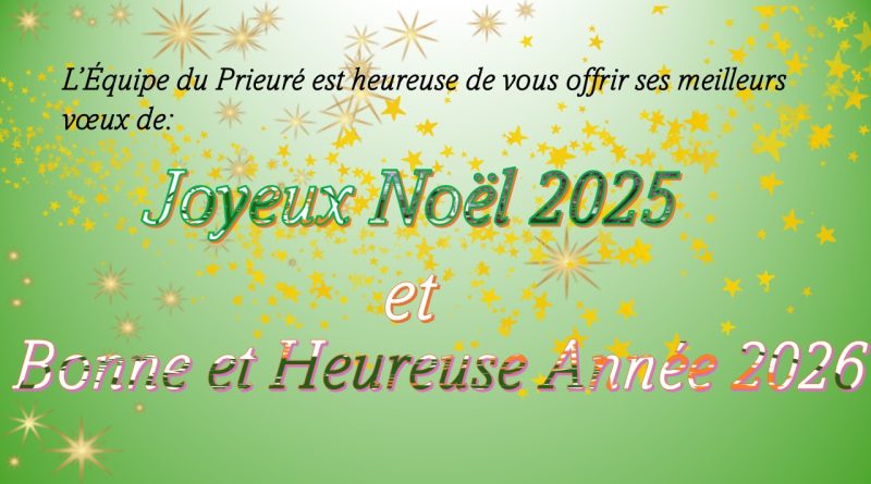 Joyeux Noël et bonne année !