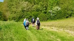 Actualité : du vendredi 15 au samedi 16 mai 2026 – Marche silencieuse et Prière.